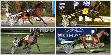 Elitlopp Playoff Gets 15 Nominations