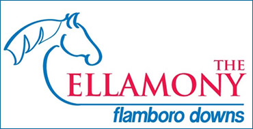 Update: Ellamony Field Set