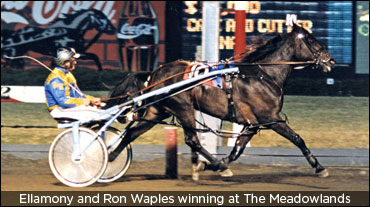Best Female Moments In Meadowlands History