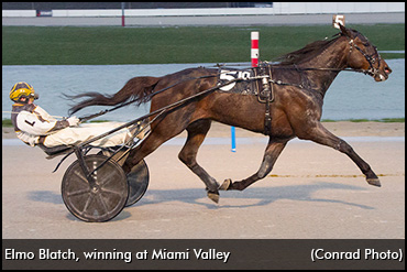 From The Amish To Amazing