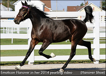 Emoticon Hanover Brings :) :)