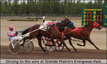 Speed In Abundance In Alberta