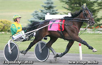 Rookie Filly Trotters In Robert Stewart