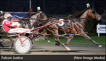 Mister Bigs Double Up In OSS Gold