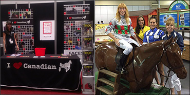 Fan Club Hits The Ex