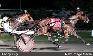 Fancy Filly Finished For 2010