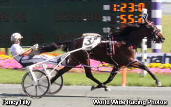 World Record In Three Diamonds