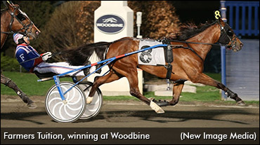 World Record Set At Woodbine