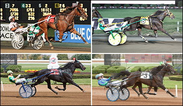 Mare Trot A Wide-Open Affair