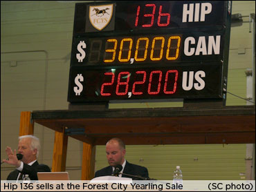 Manges On Forest City Sale