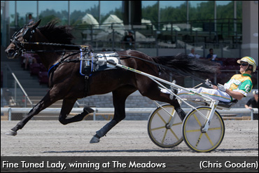 Stakes Mark For Fine Tuned Lady