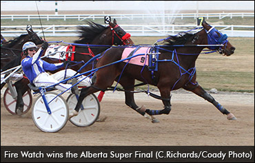 Top Fillies Seek Northlands Glory