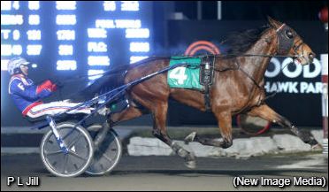 Preferred Repeat For P L Jill