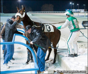 Freak Accident At Flamboro