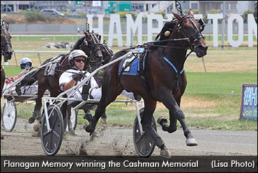 Dion's Hambletonian Day 'Memory'