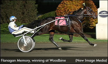 Flanagan Memory's Final Start