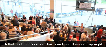 Georgian Downs Gets Mobbed