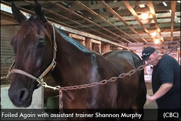Harness Racing Royalty On PEI