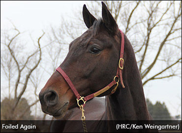Rare Local Start For Foiled Again 