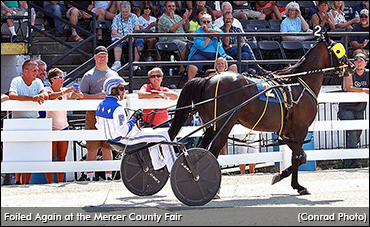 Foiled Again Thrills Fair Fans