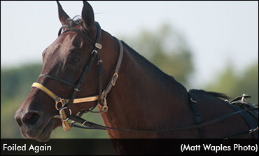 Harness Racing's True Iron Horse
