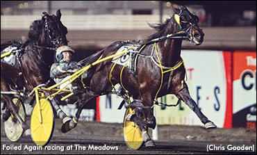 Foiled Again Concludes Racing Career	