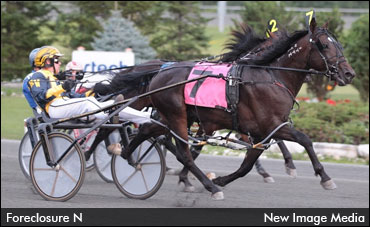 North America Cup Spring Book - #5