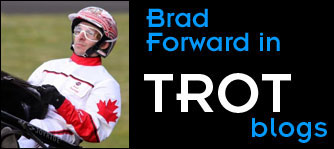 Forward: From Deer To Moose