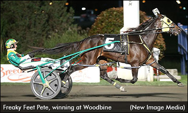 Update On Freaky Feet Pete 