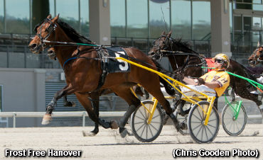 Series Title To Frost Free Hanover