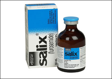 HHI Stance On Race Day Medication HHI Stance On Race Day Medication