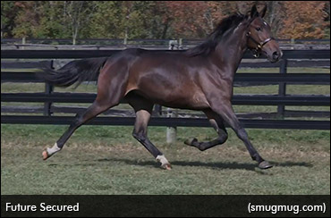 Future Secured Tops Session One