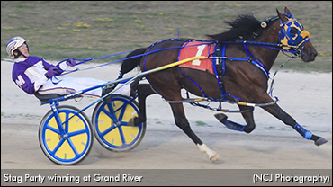 Canadian Record Mile From Stag Party