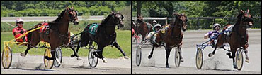 Burke's 2YOs Impress In Qualifiers