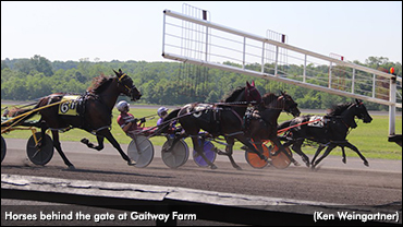 Gaitway Qualifiers Complete