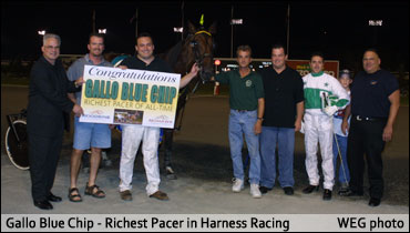 A Toast To Gallo Blue Chip