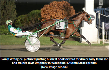 "I’m Hoping He Can Be A 'Gold' Horse"