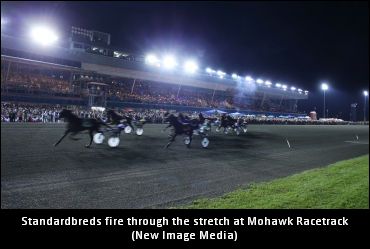 WEG Update On Integrity Initiative