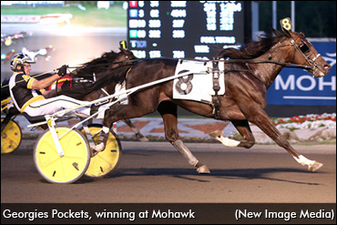 Georgies Pockets On Familiar Turf