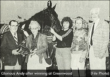 'Glorious' Horse Starts A Career