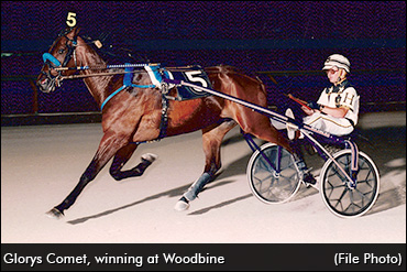 Glorys Comet Euthanized