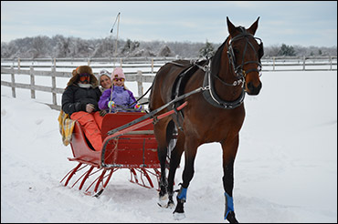 On A One-Horse Open Sleigh