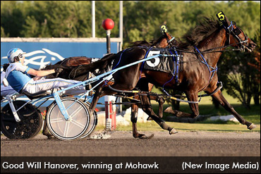 A Filly That Likes It Her Way