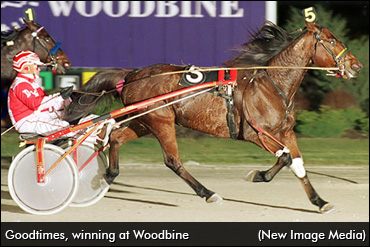 Woodbine Top Ten: #10