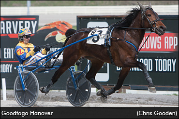 Unplanned Yearling Buy Pays Off
