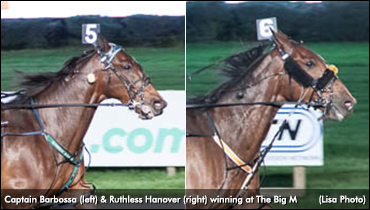 Favourites First In Graduate Opener