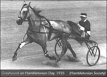 SC Rewind: Greyhound's Hambletonian