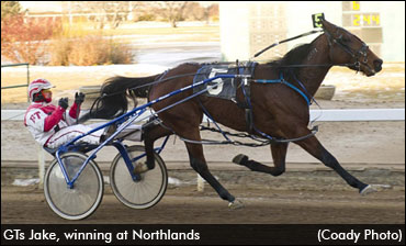 'Jake' A Horse For The Course