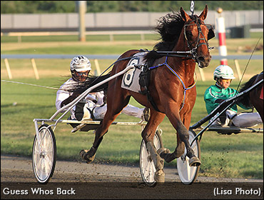 Owner Back With A Star Trotter Owner Back With A Star Trotter
