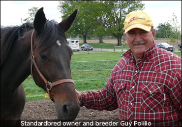 First Foal For Cornaro Dasolo